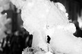 les ombres blanches 12